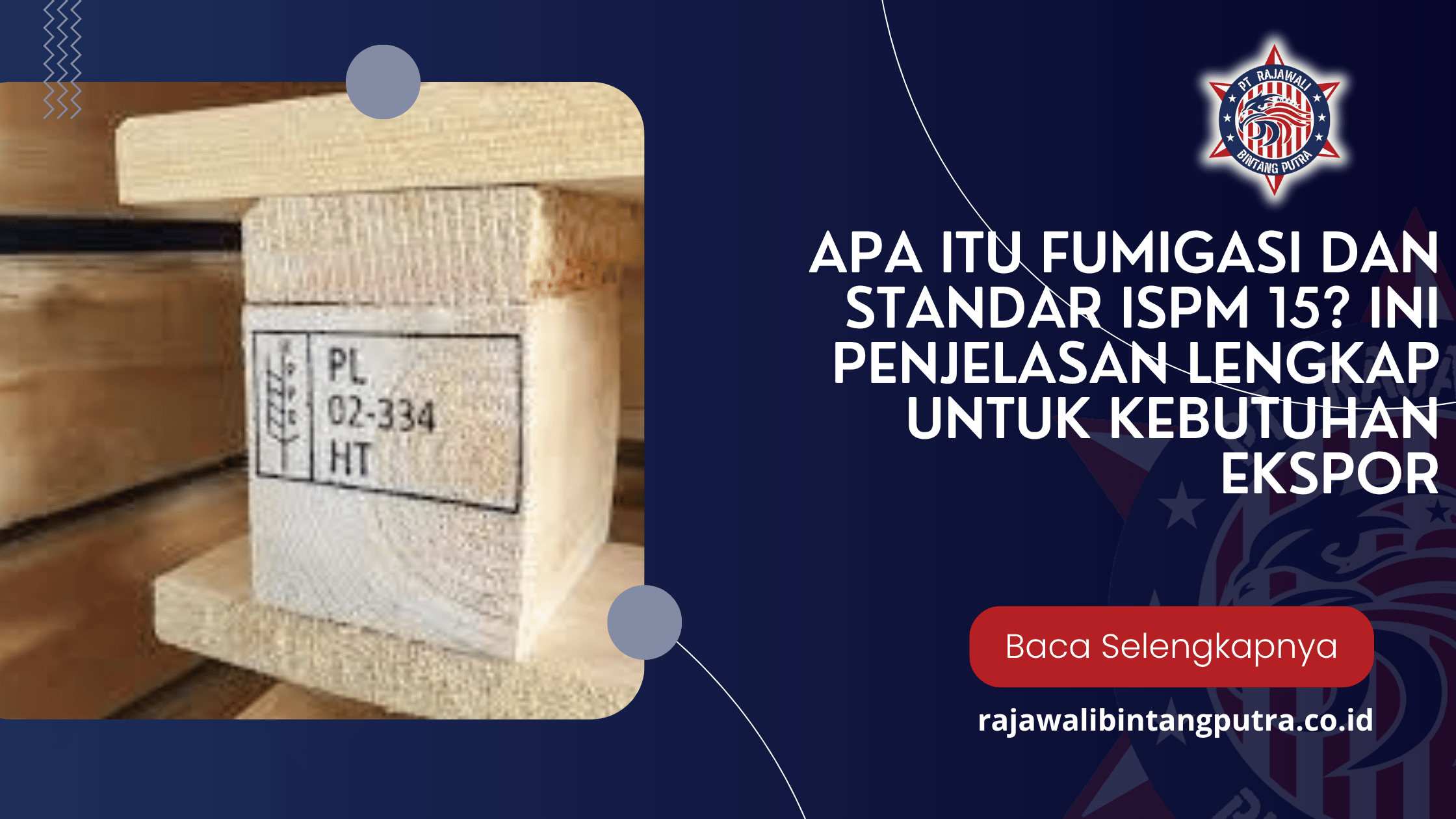 Apa Itu Fumigasi dan Standar ISPM 15? Ini Penjelasan Lengkap untuk Kebutuhan Ekspor